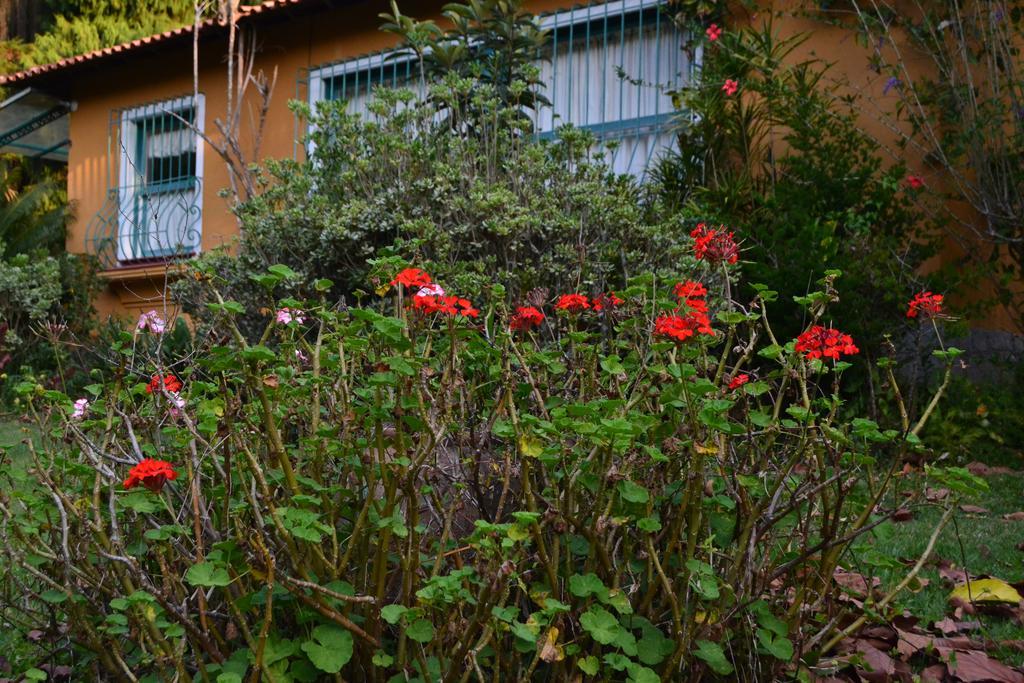 Pousada Amoedo Hotel Petrópolis Kültér fotó