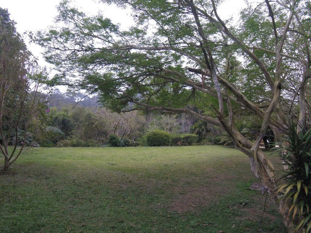 Pousada Amoedo Hotel Petrópolis Kültér fotó