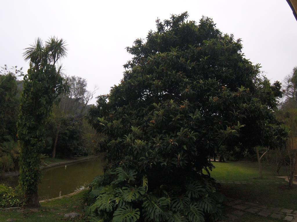 Pousada Amoedo Hotel Petrópolis Kültér fotó