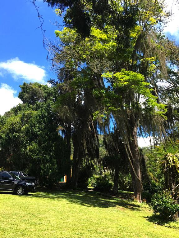 Pousada Amoedo Hotel Petrópolis Kültér fotó