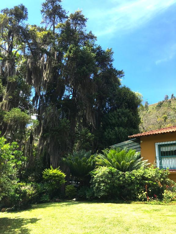 Pousada Amoedo Hotel Petrópolis Kültér fotó